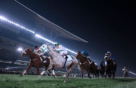 meydan horse racing.